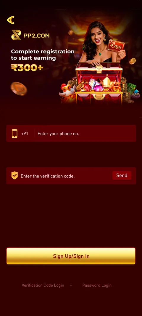 PP2 login page screenshot