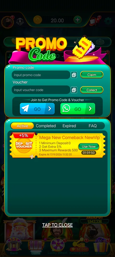 Slot winner promo code section screenshot