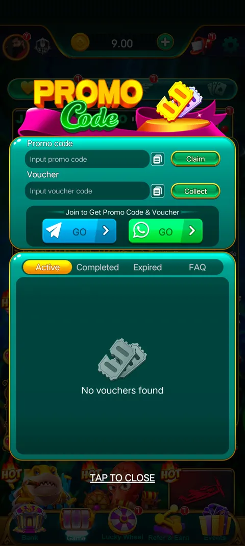 MAXRUMMY promo code section screenshot
