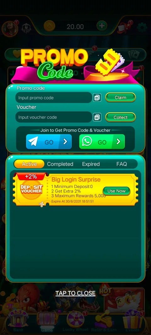 Rummy ludo promo code section screenshot