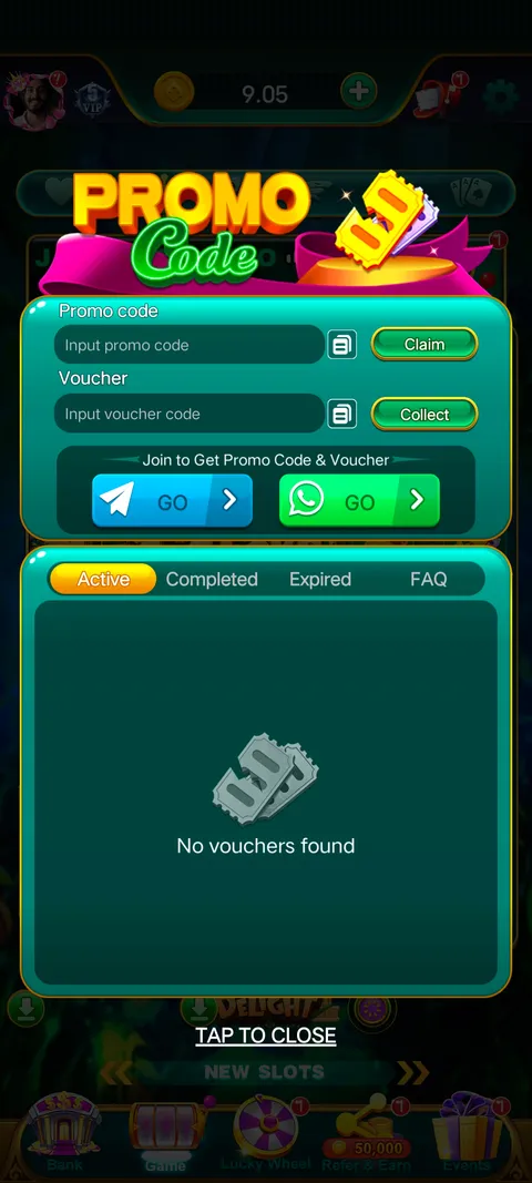 Bingo 101 promo code section screenshot