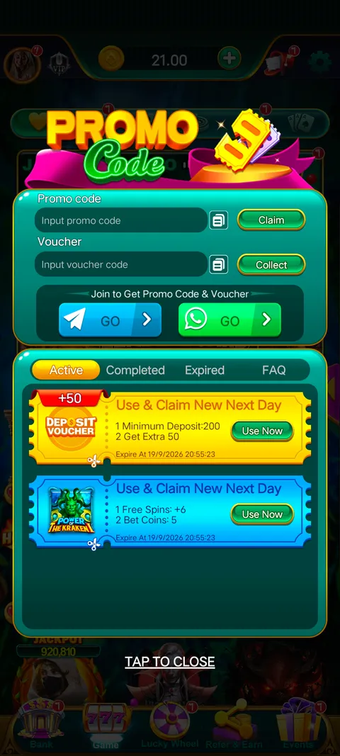 SPIN WINNER promo code section screenshot