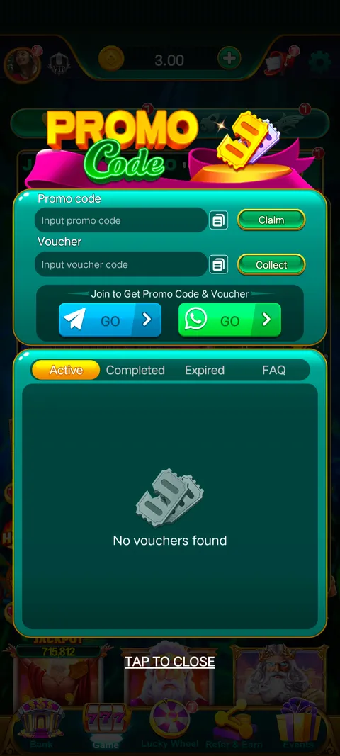 Bet213 promo code section screenshot