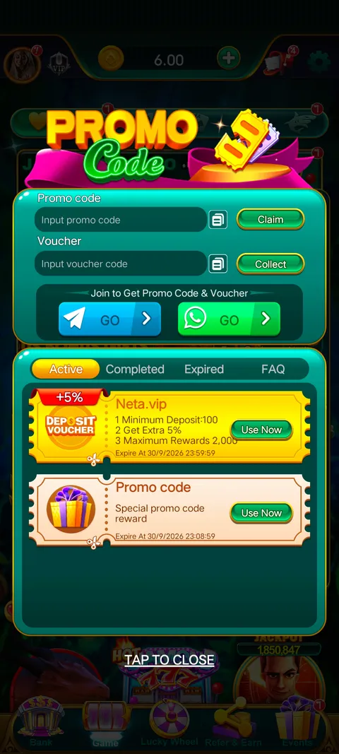 Neta vip promo code section screenshot