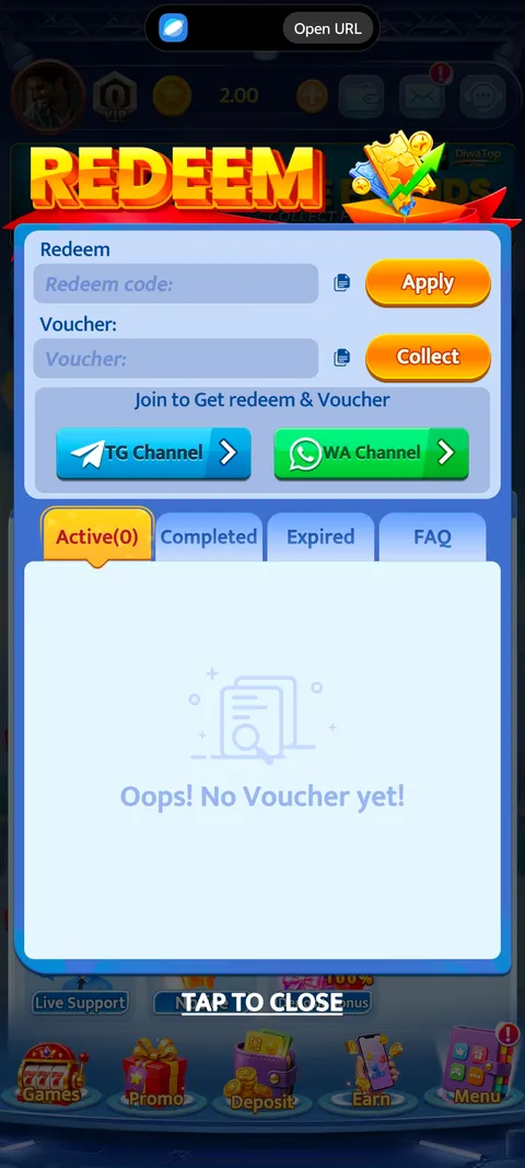 Diwatop promo code section screenshot